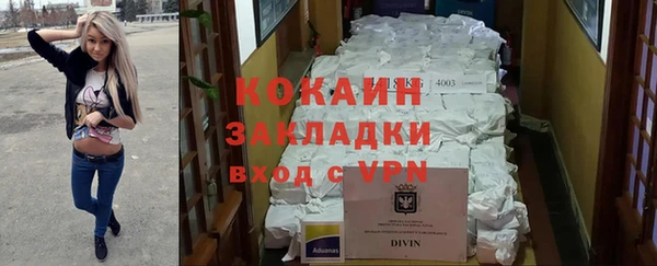 индика Армянск