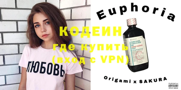индика Армянск