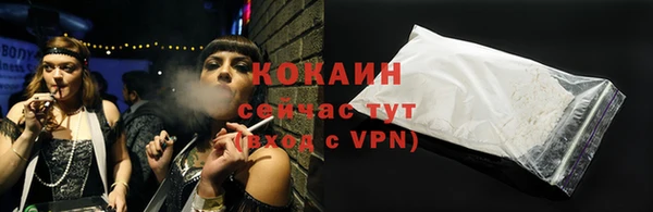 индика Армянск