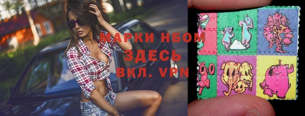 индика Армянск