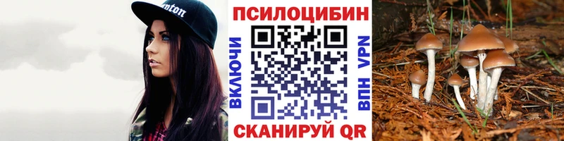 Псилоцибиновые грибы Magic Shrooms  нарко площадка состав  Онега  где можно купить  